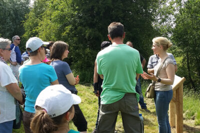 Agrandir l'image 719