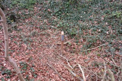 Agrandir l'image 2798