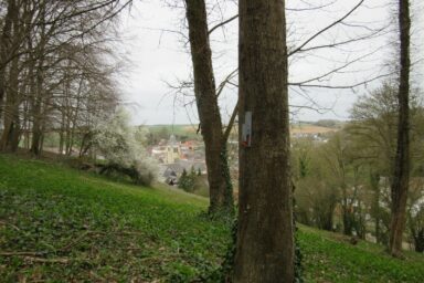 Agrandir l'image, fenêtre modale