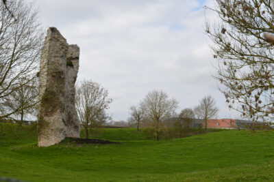 Agrandir l'image 23980