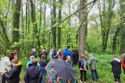 Agrandir l'image 23981