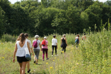 Agrandir l'image, fenêtre modale