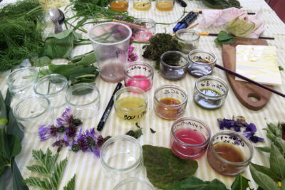 Agrandir l'image 307498